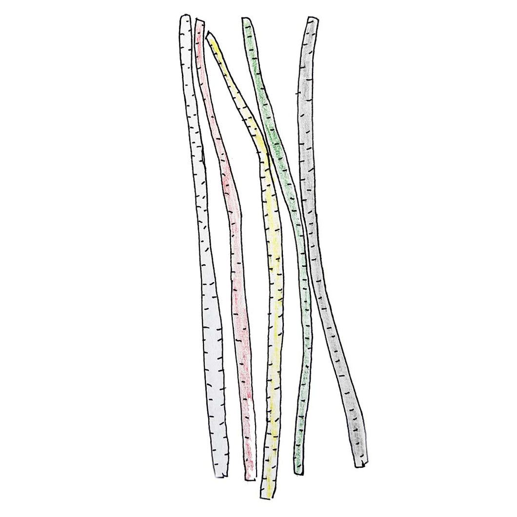Bungee Bundle