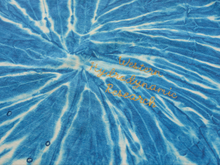 Load image into Gallery viewer, TIE DYE #1
