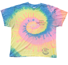 Load image into Gallery viewer, TIE DYE #11
